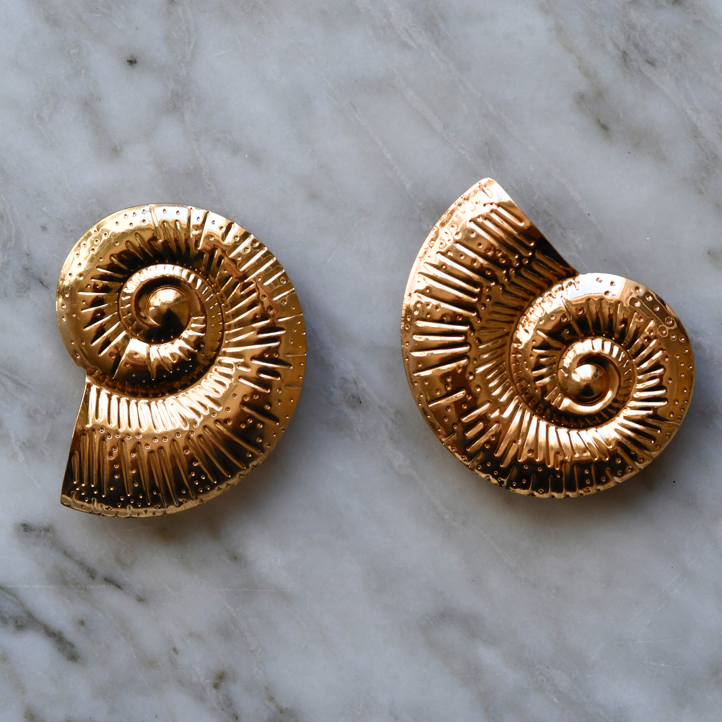 Ammonite
