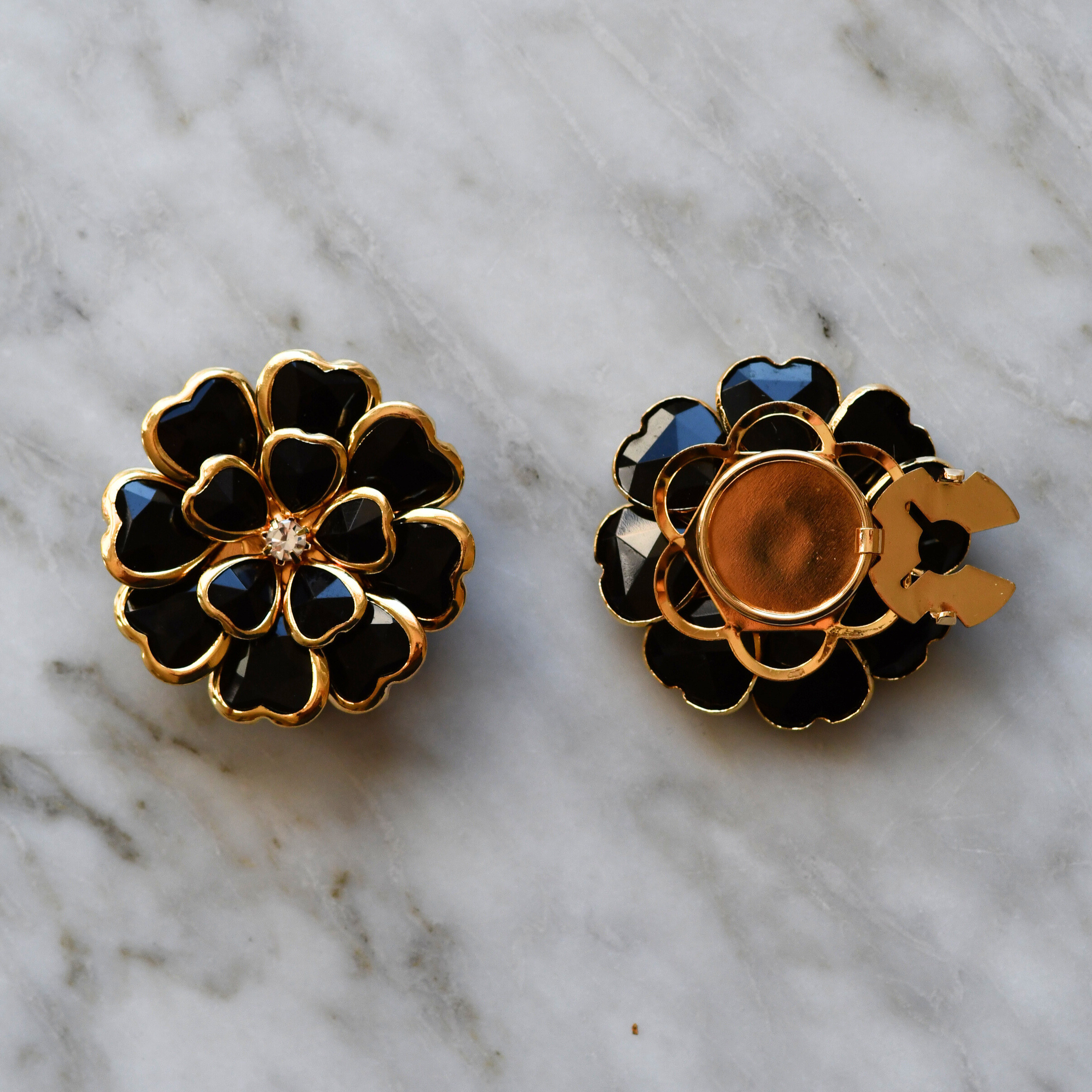 Dahlia noir (1 Unité)