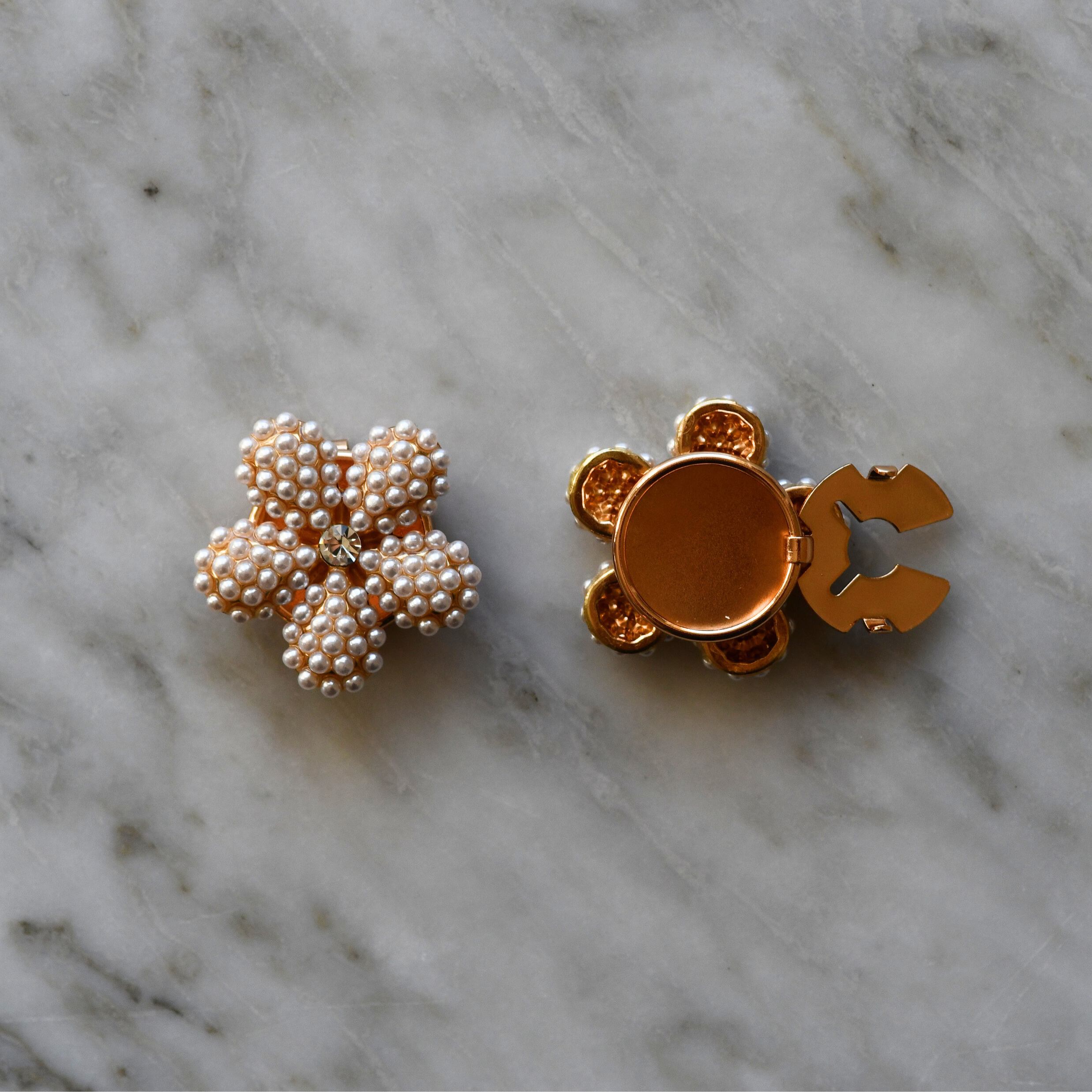 Ferufolia (1 Unité)