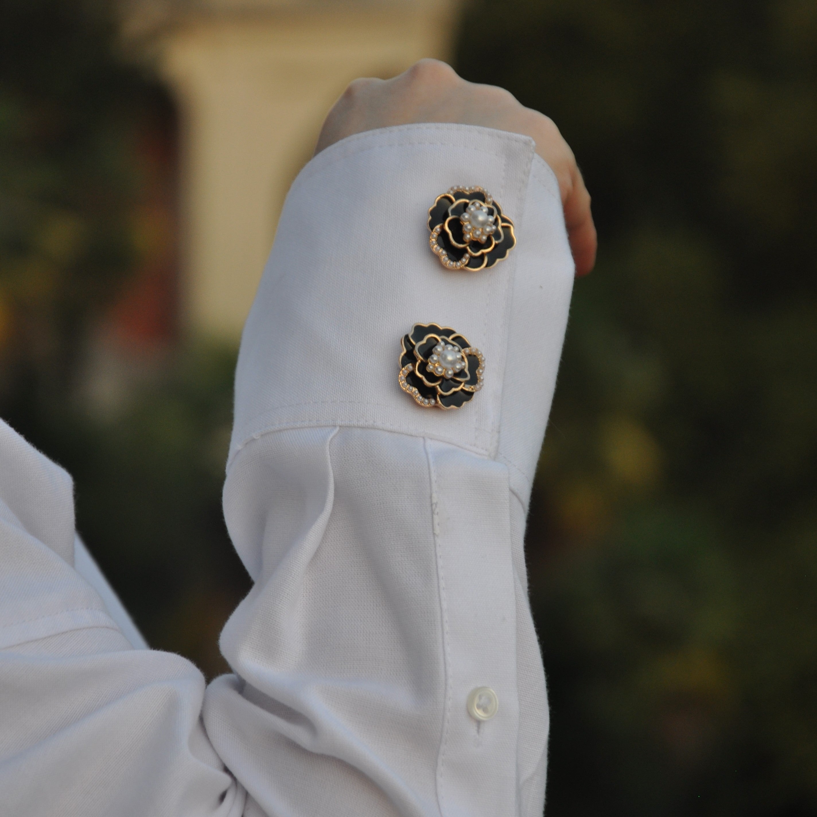 Camélias noir (1 Unité)