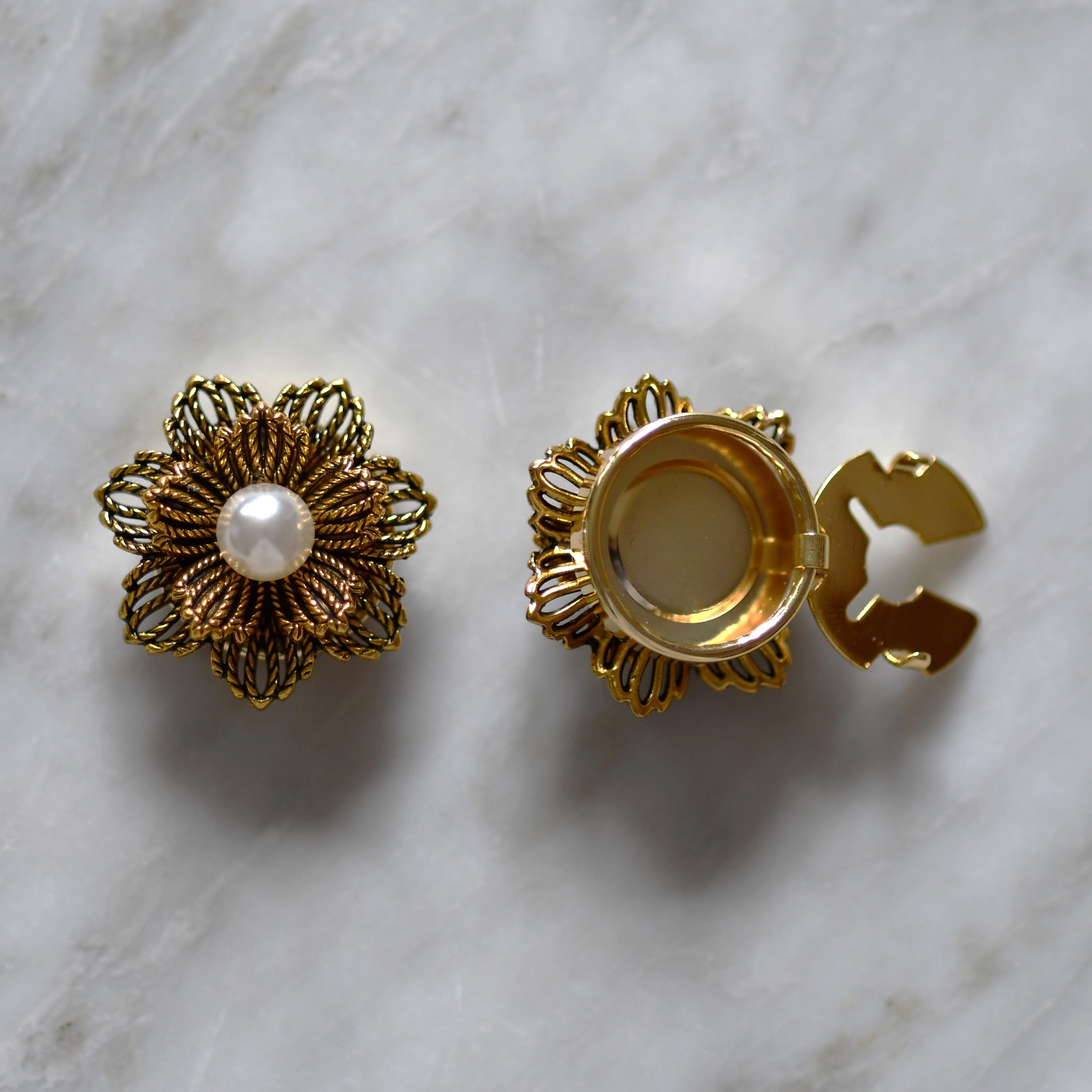 Chrysanthème (1 Unité)