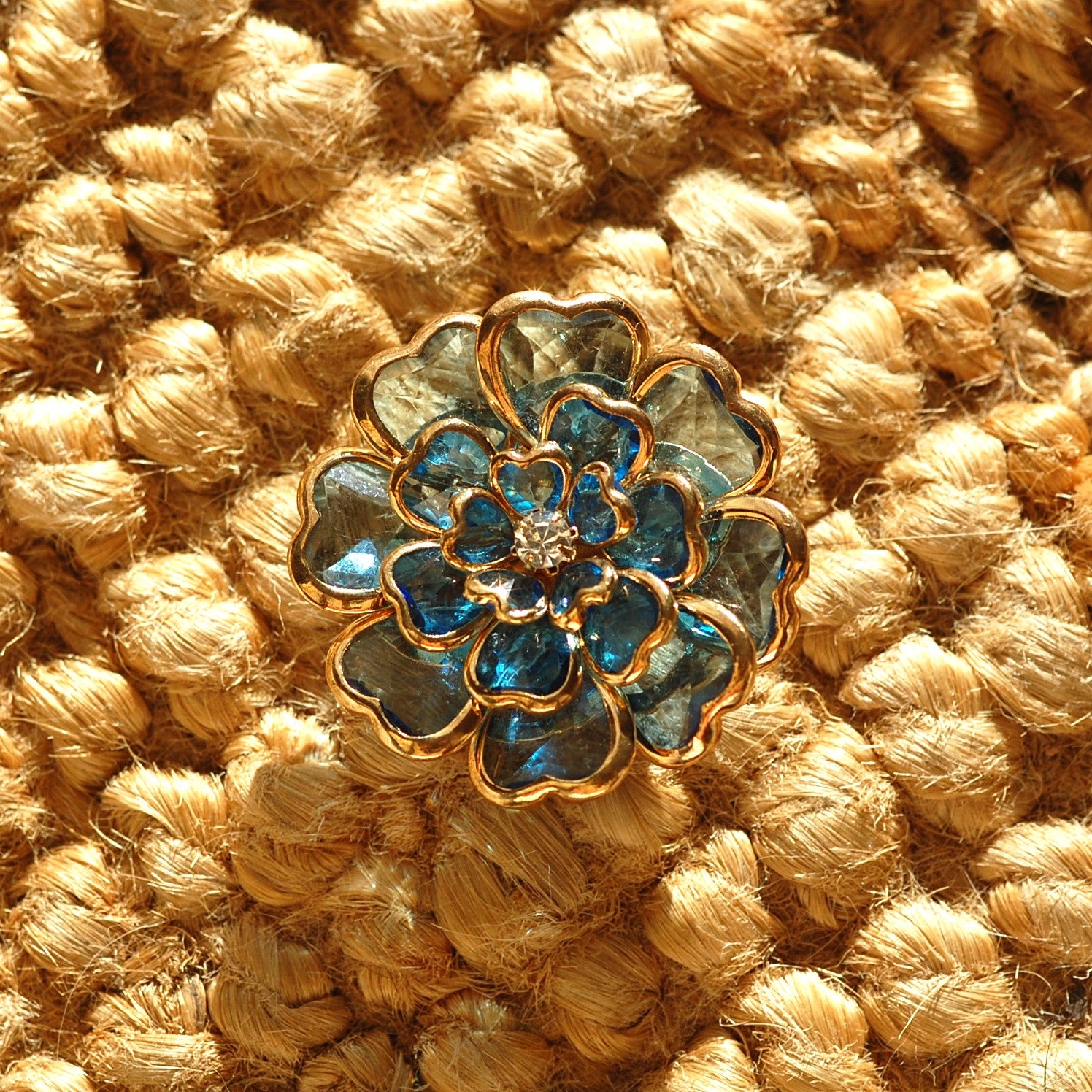 Dahlia bleu (1 Unité)