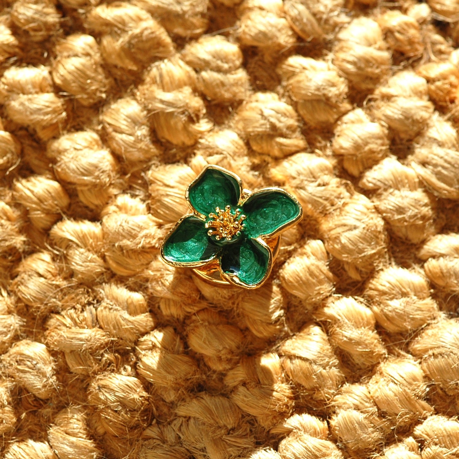 Cornouiller (1 Unité)