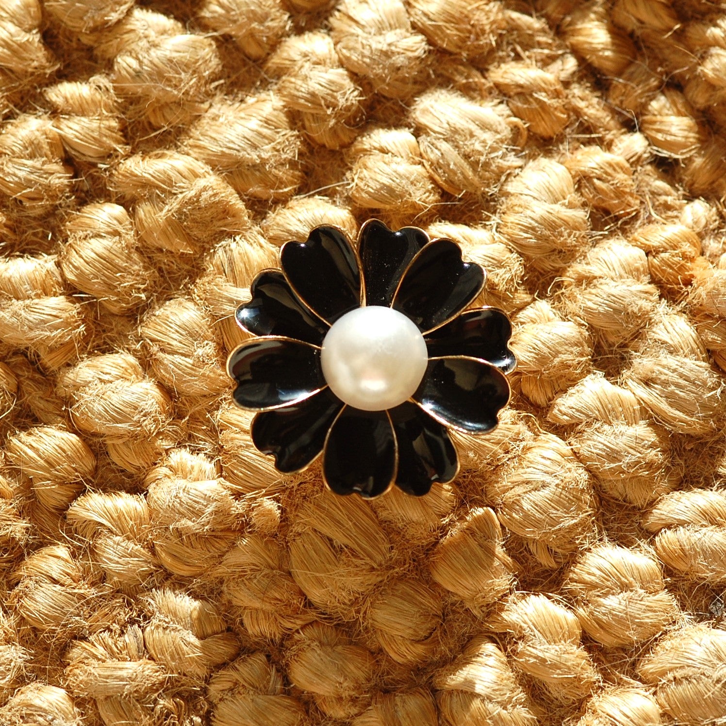 Marguerite noire (1 Unité)