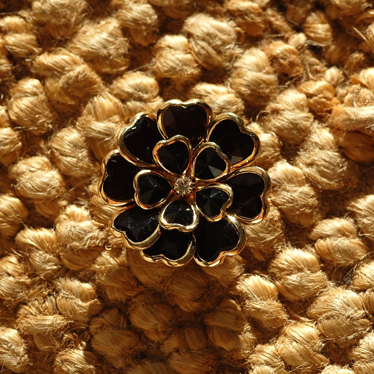 Dahlia noir (1 Unité)