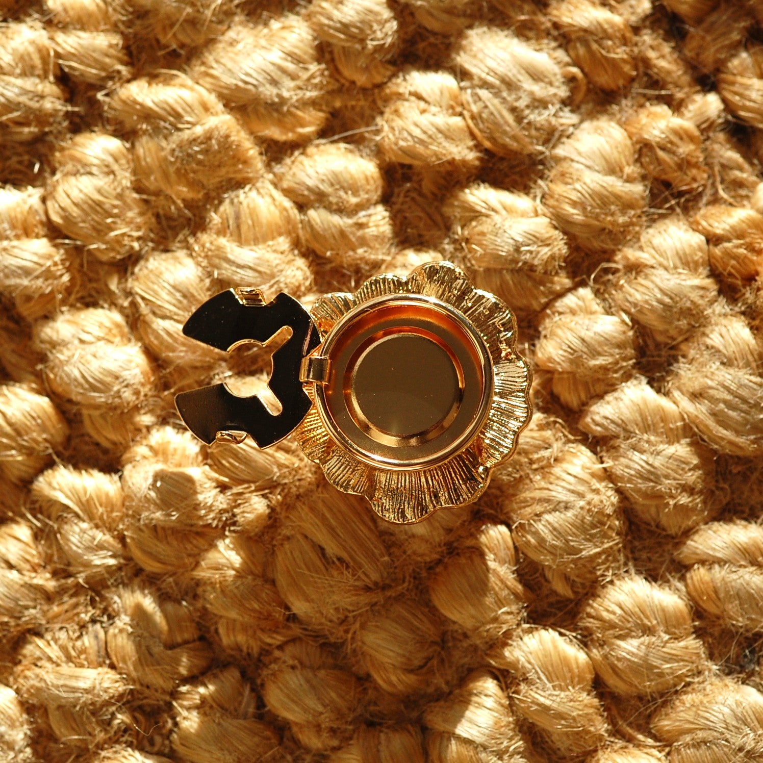 Camélias noir (1 Unité)