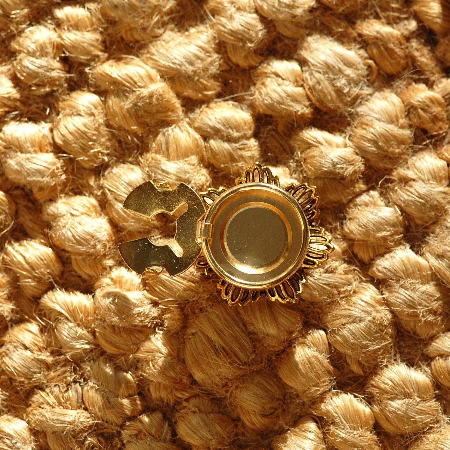 Chrysanthème (1 Unité)