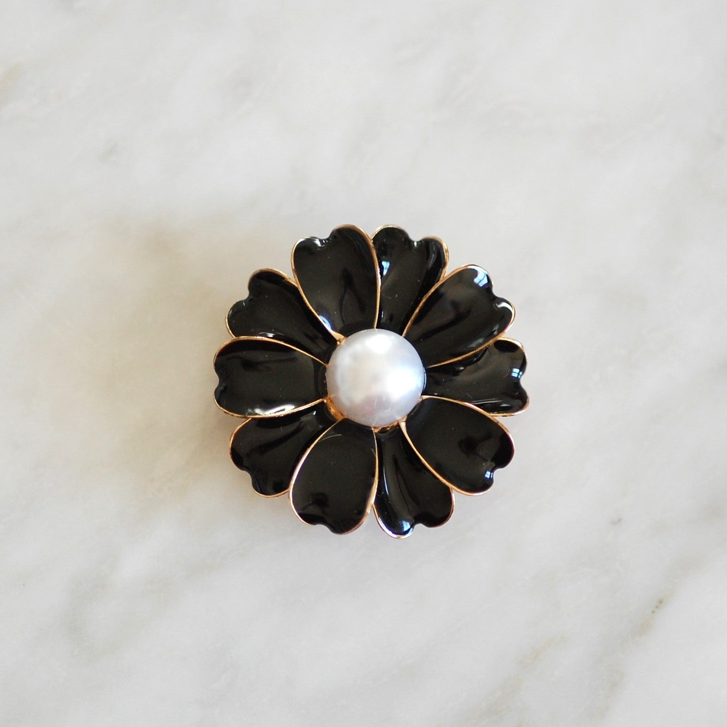 Marguerite noire (-30%)