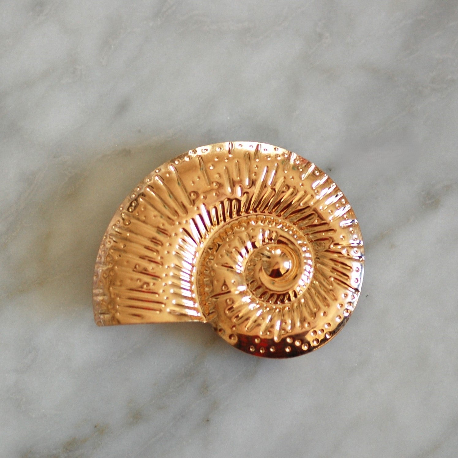 Ammonite (-50%)