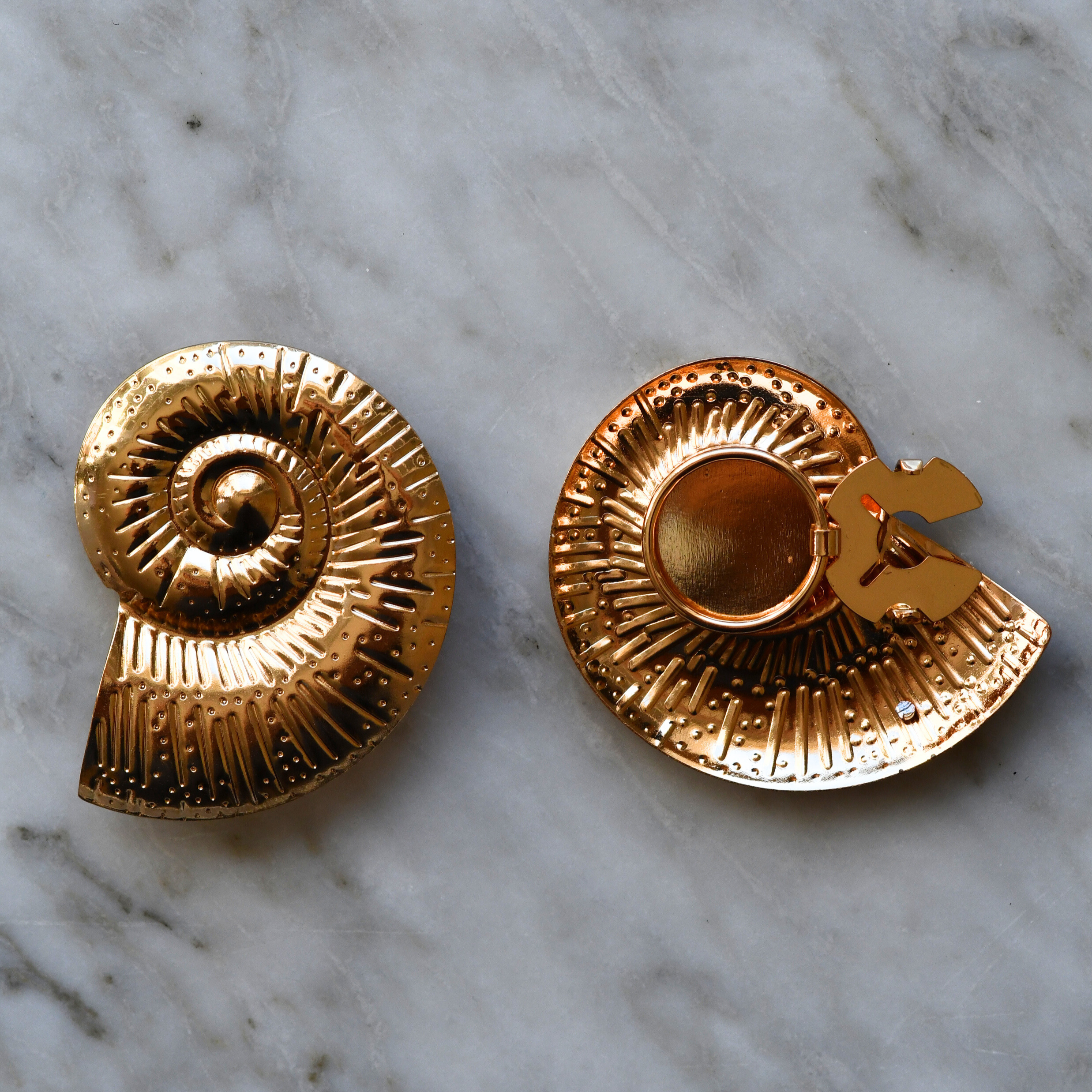Ammonite