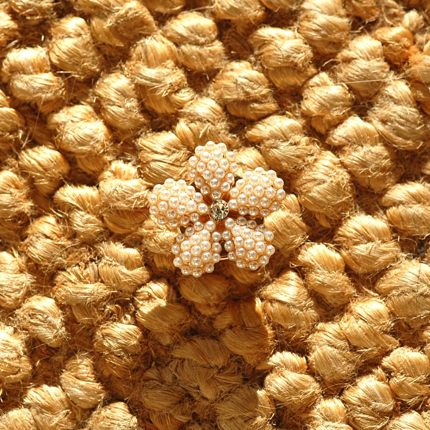 Ferufolia (1 Unité)