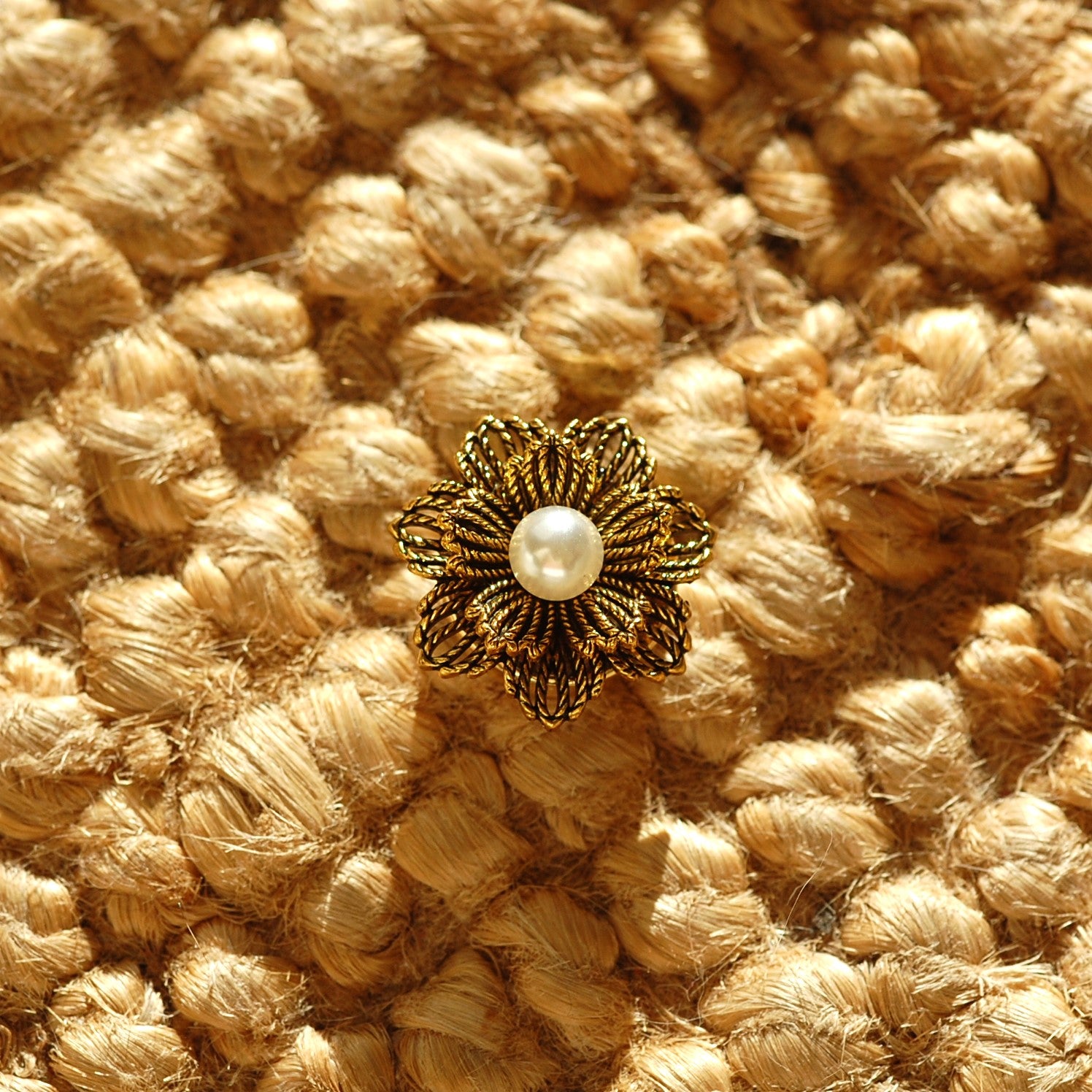 Chrysanthème (1 Unité)