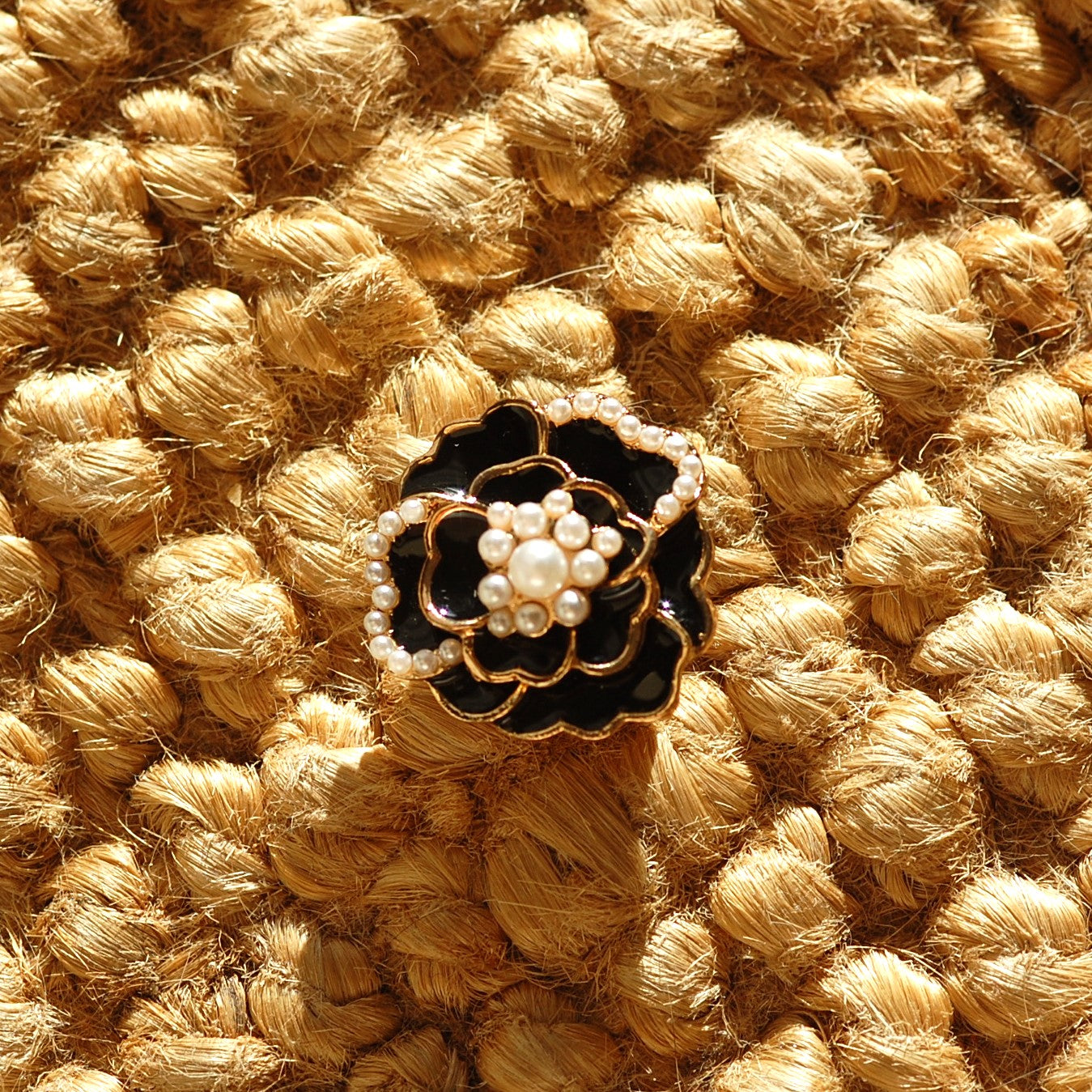 Camélias noir (1 Unité)