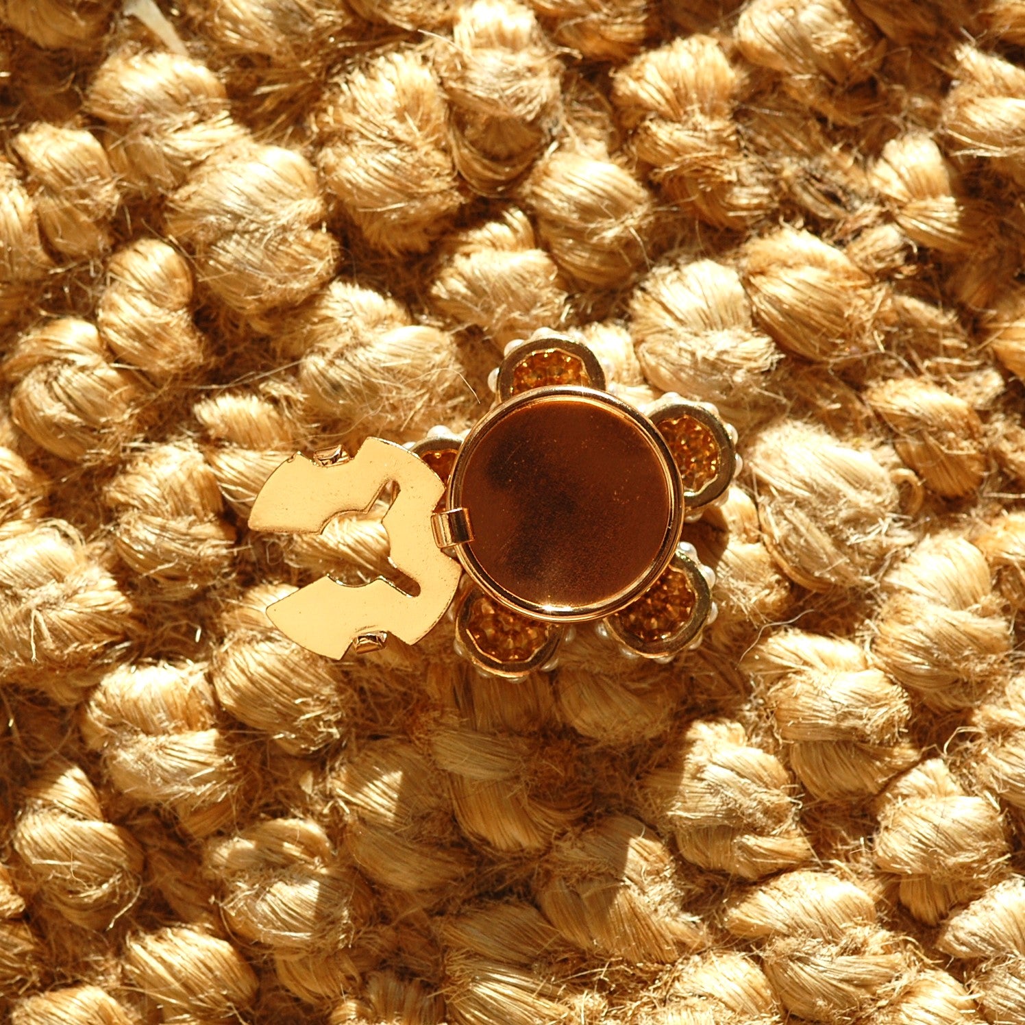 Ferufolia (1 Unité)