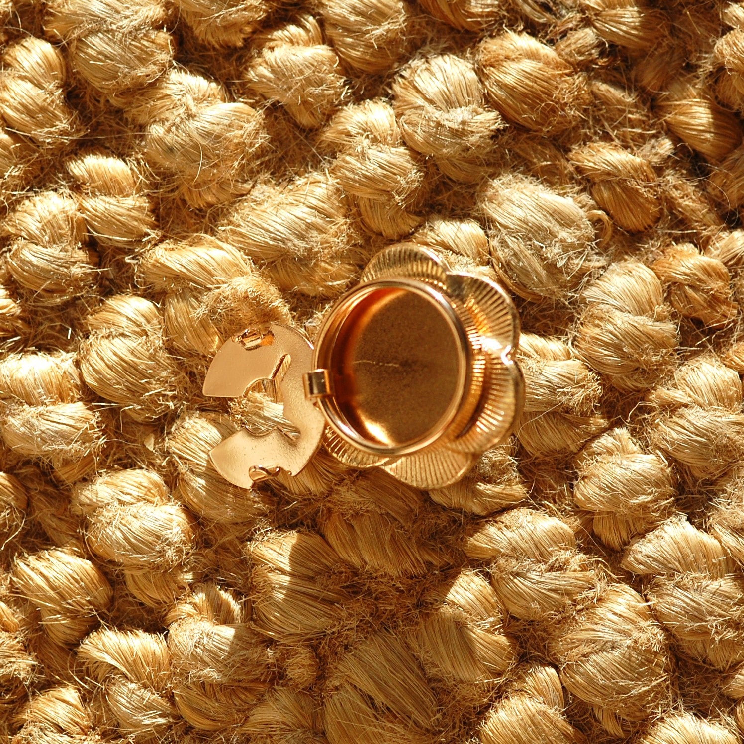 Renoncule (1 Unité)