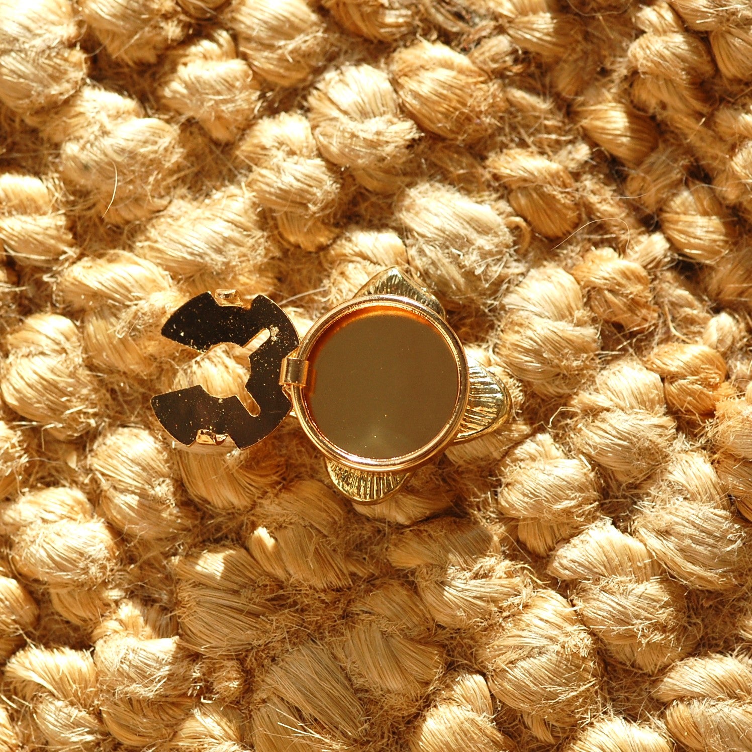 Cornouiller (1 Unité)