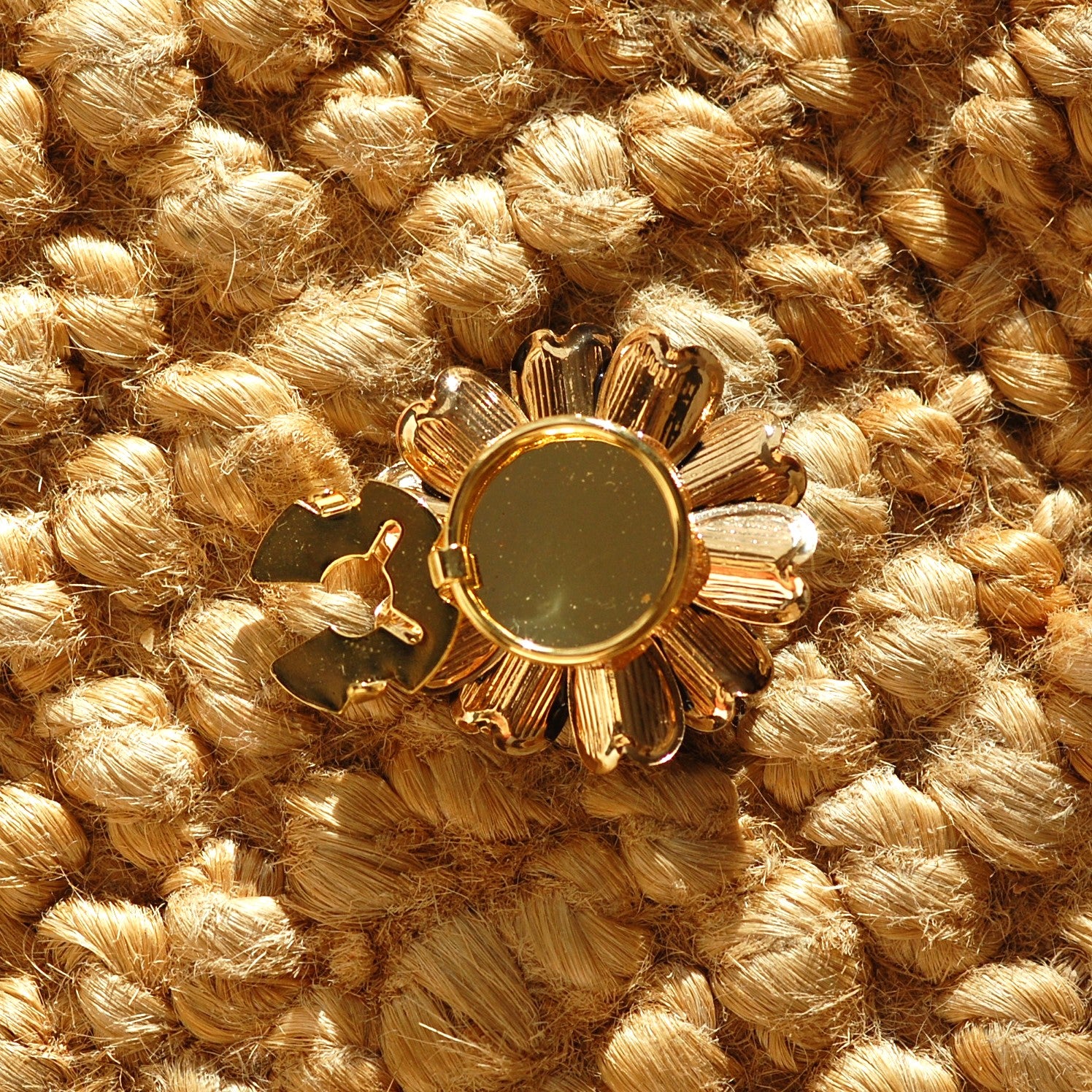 Marguerite noire (1 Unité)