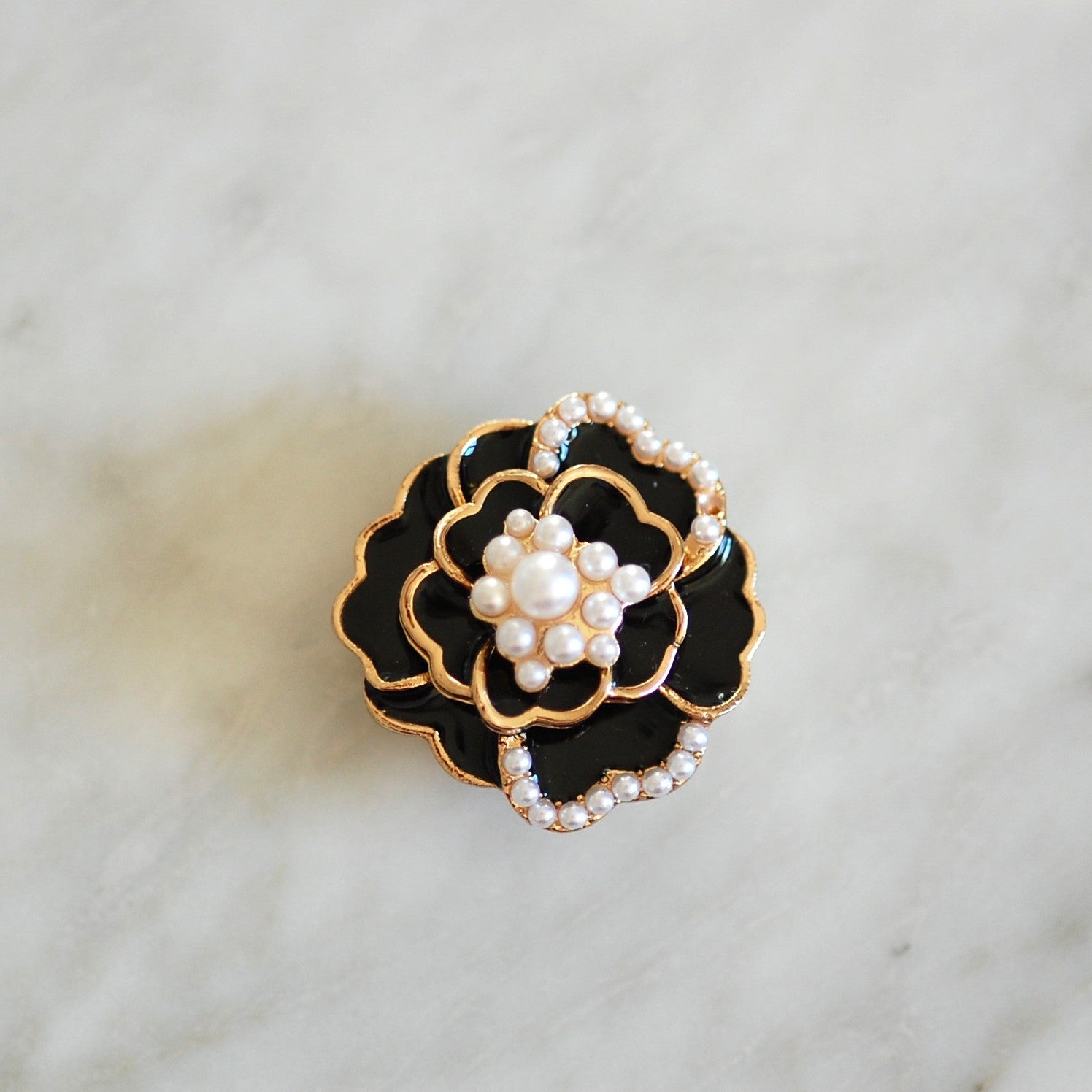 Camélias noir (-60%)