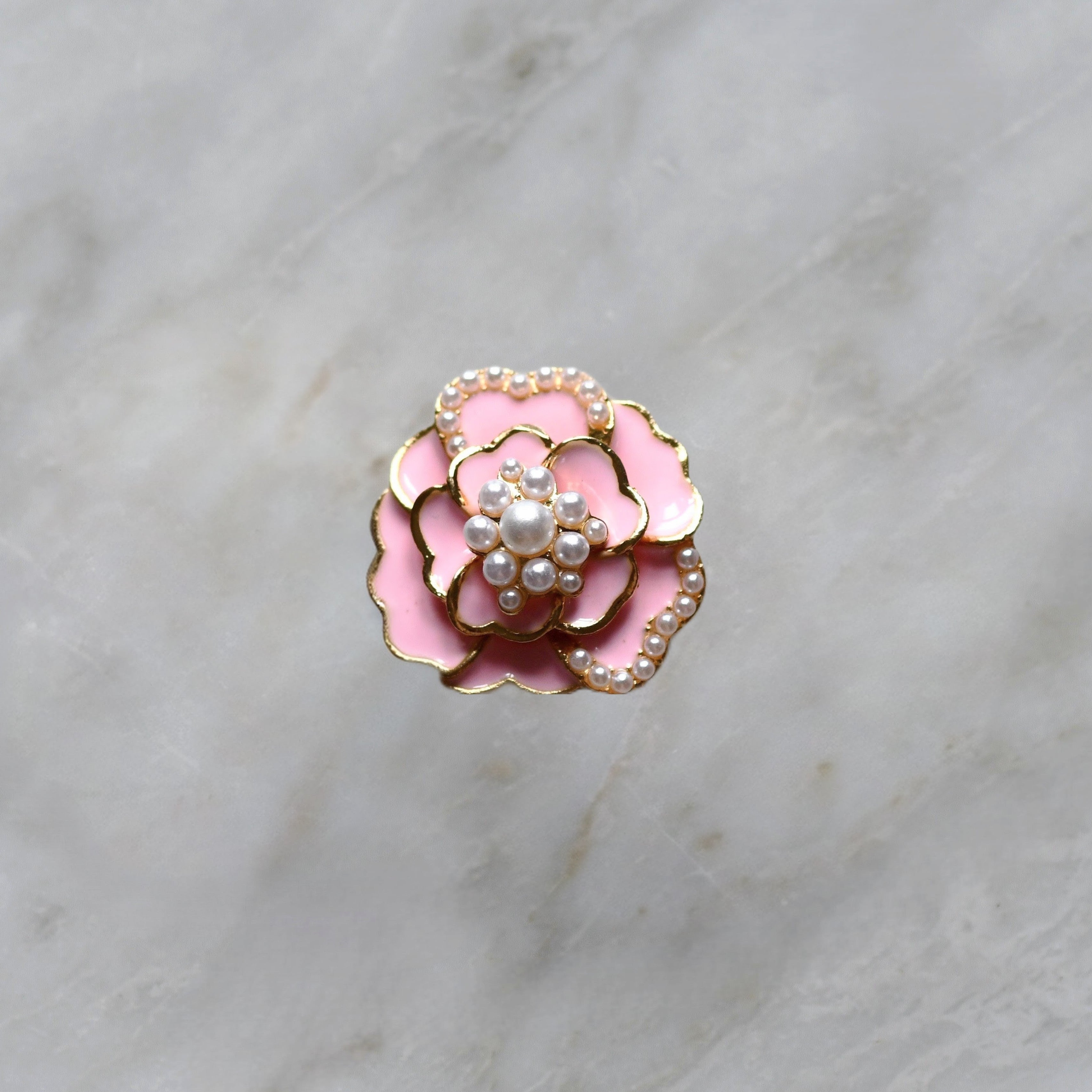 Camélias rose (-30%)