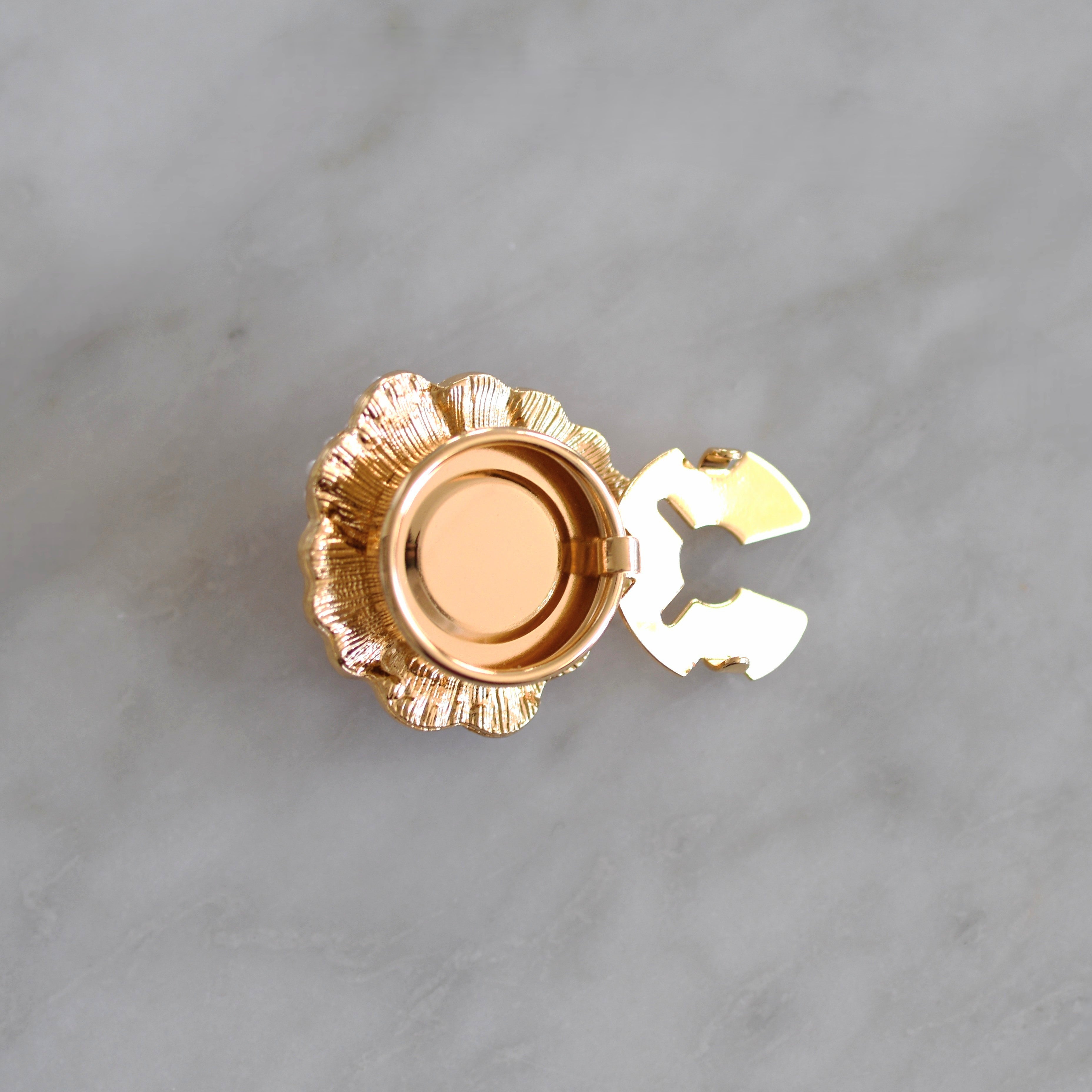 Camélias rose (-30%)